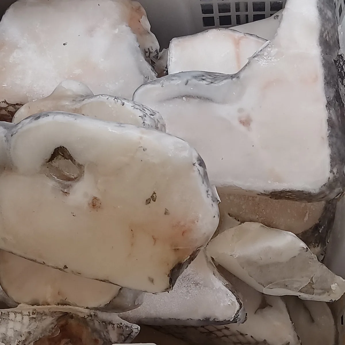 Frozen wild North Atlantic groundfish portions